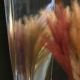 Detail of polished Lockheed C-130A Hercules propeller blade reflecting coloured feathers.