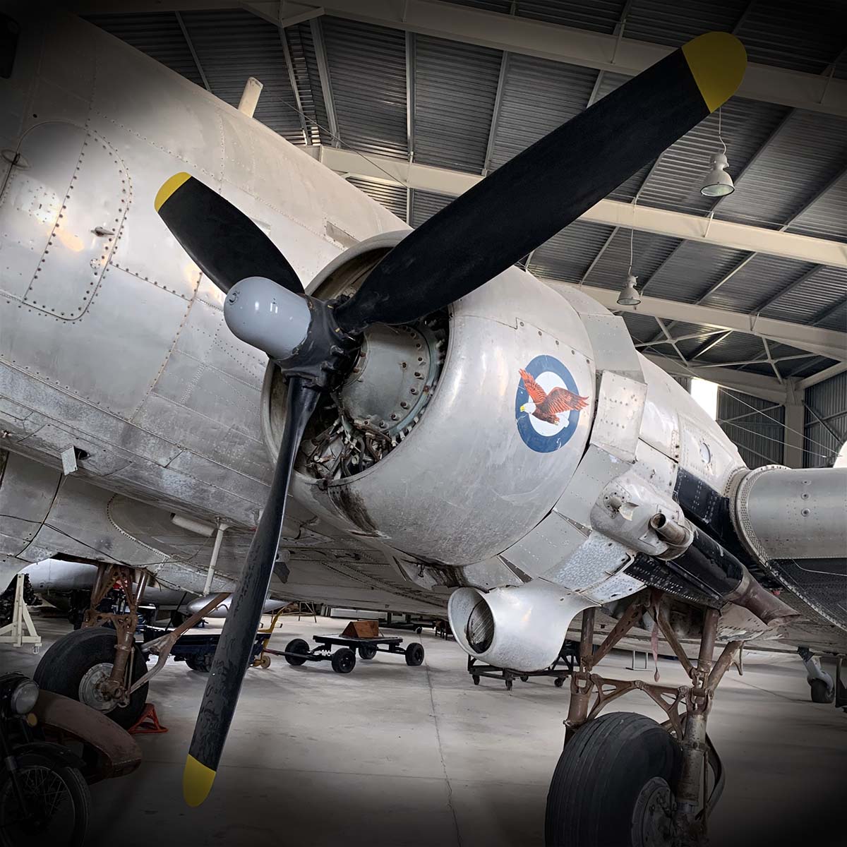 Photo showing engine cowlings of the C-47 Dakota in the Malta Aviation museum.