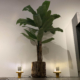 Two runway lights with new LED-bulb next to a large plant in a living room.