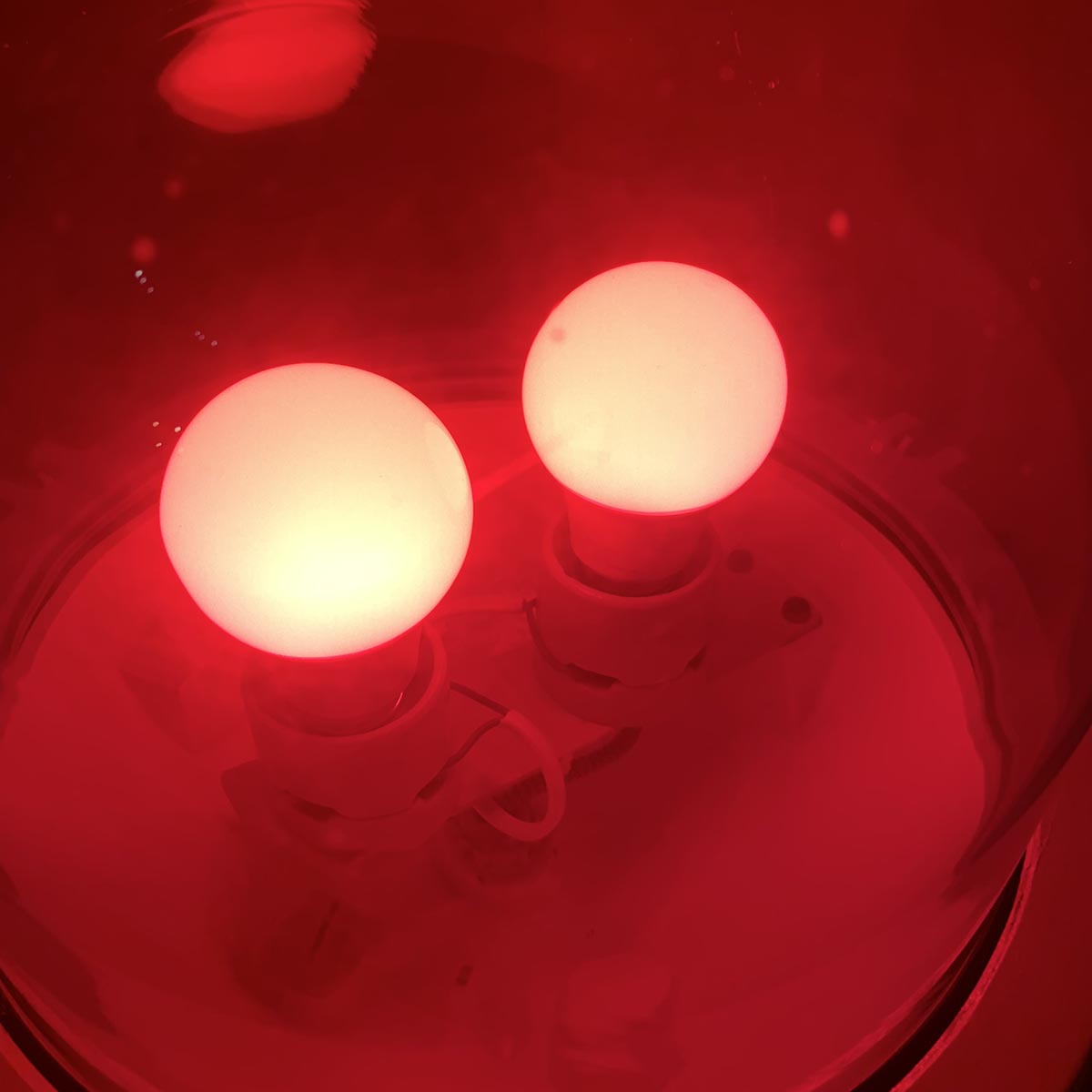 Detail of the two LED bulbs in a AEG obstruction light.